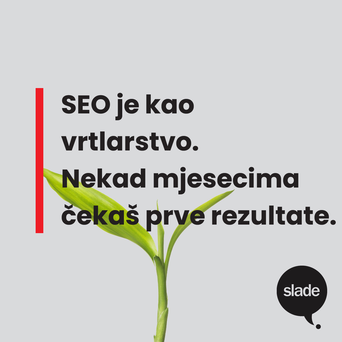 SEO citati