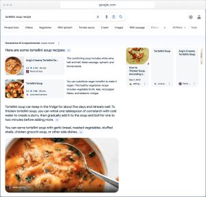 Google SGE primjer rezultata